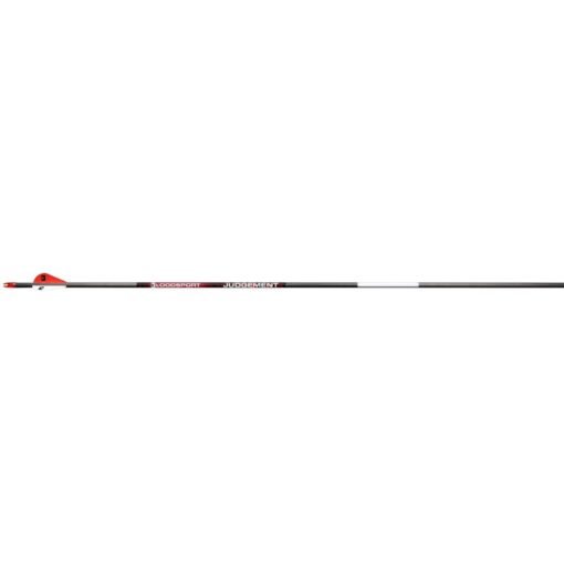 bloodsport judgement arrows