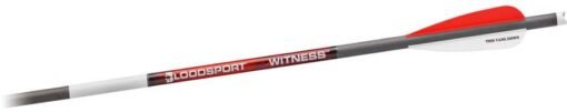 bloodsport witness crossbow bolt