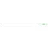 easton genesis arrows 1002178