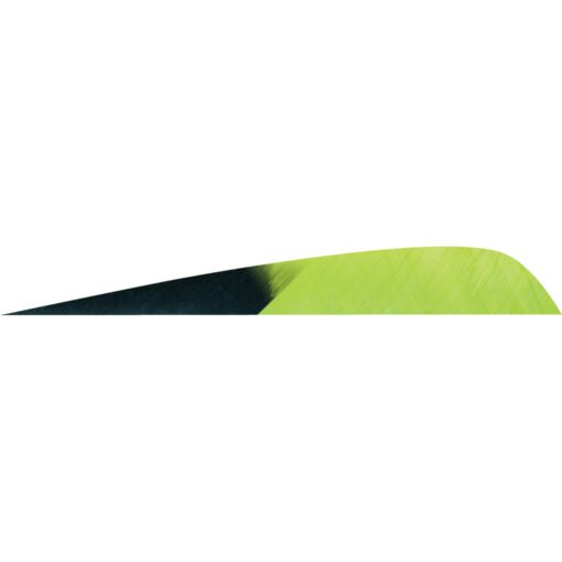 gateway parabolic feathers 1406935