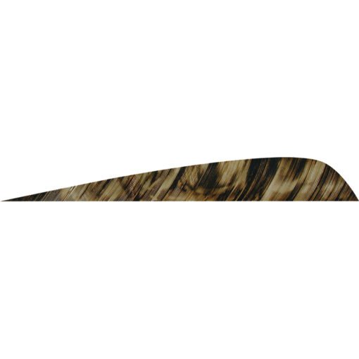 gateway parabolic feathers 1406955