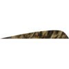 gateway parabolic feathers 1407048