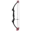 genesis archery original bow 1