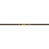 gold tip ultralight entrada