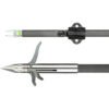 muzzy carbon fish arrow 1004095