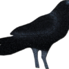 oncore targets crow self healing archery target