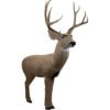 rinehart signature mulie targets